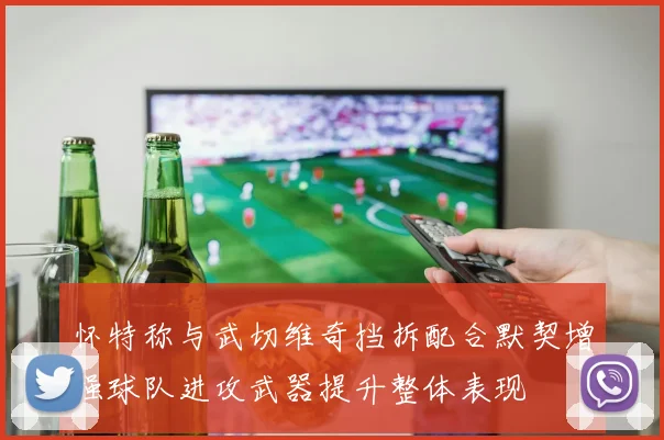 怀特称与武切维奇挡拆配合默契增强球队进攻武器提升整体表现