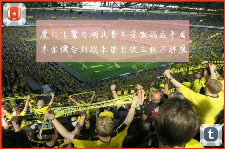 厦门飞鹭与湖北青年星激战成平局李宗儒告别战未能打破三轮不胜魔咒