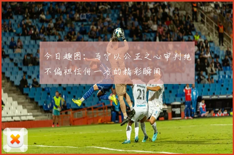 今日趣图：马宁以公正之心审判绝不偏袒任何一方的精彩瞬间